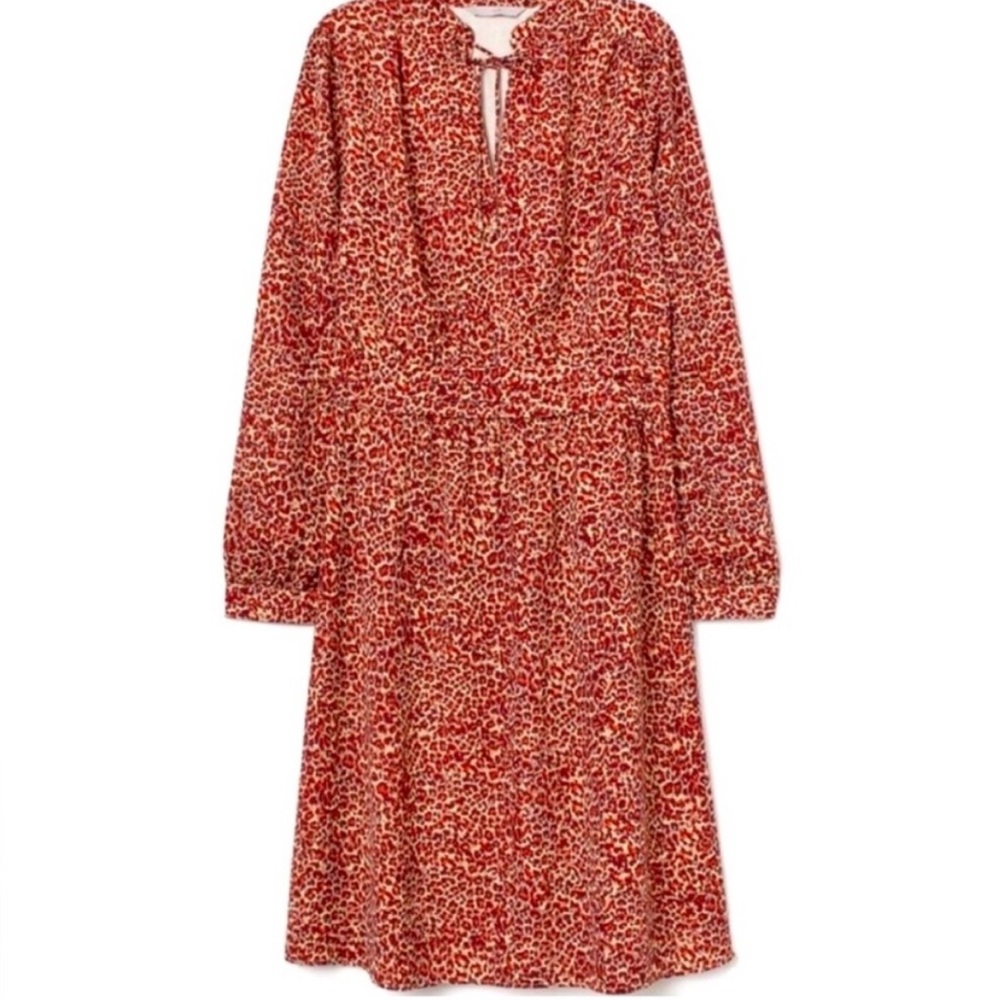 H&M Leopard Dress